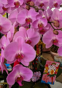 IMG 20220123 111750 edit 986058366567766