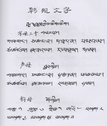 Scan 9